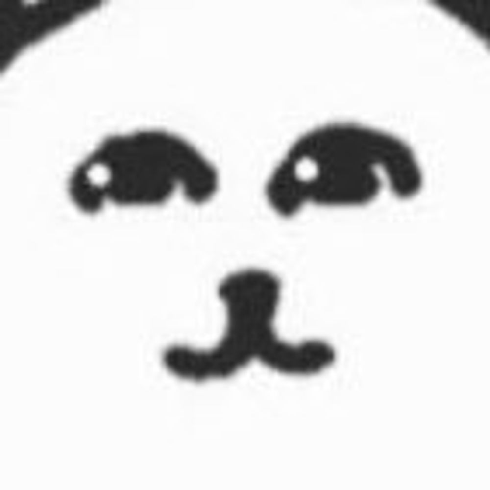 Beaucoup 보꾸