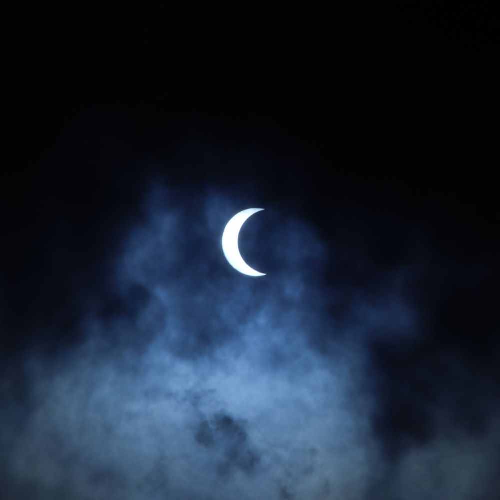 로곰°*.°✧