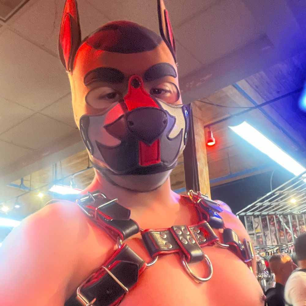 MrPuppyTayoh