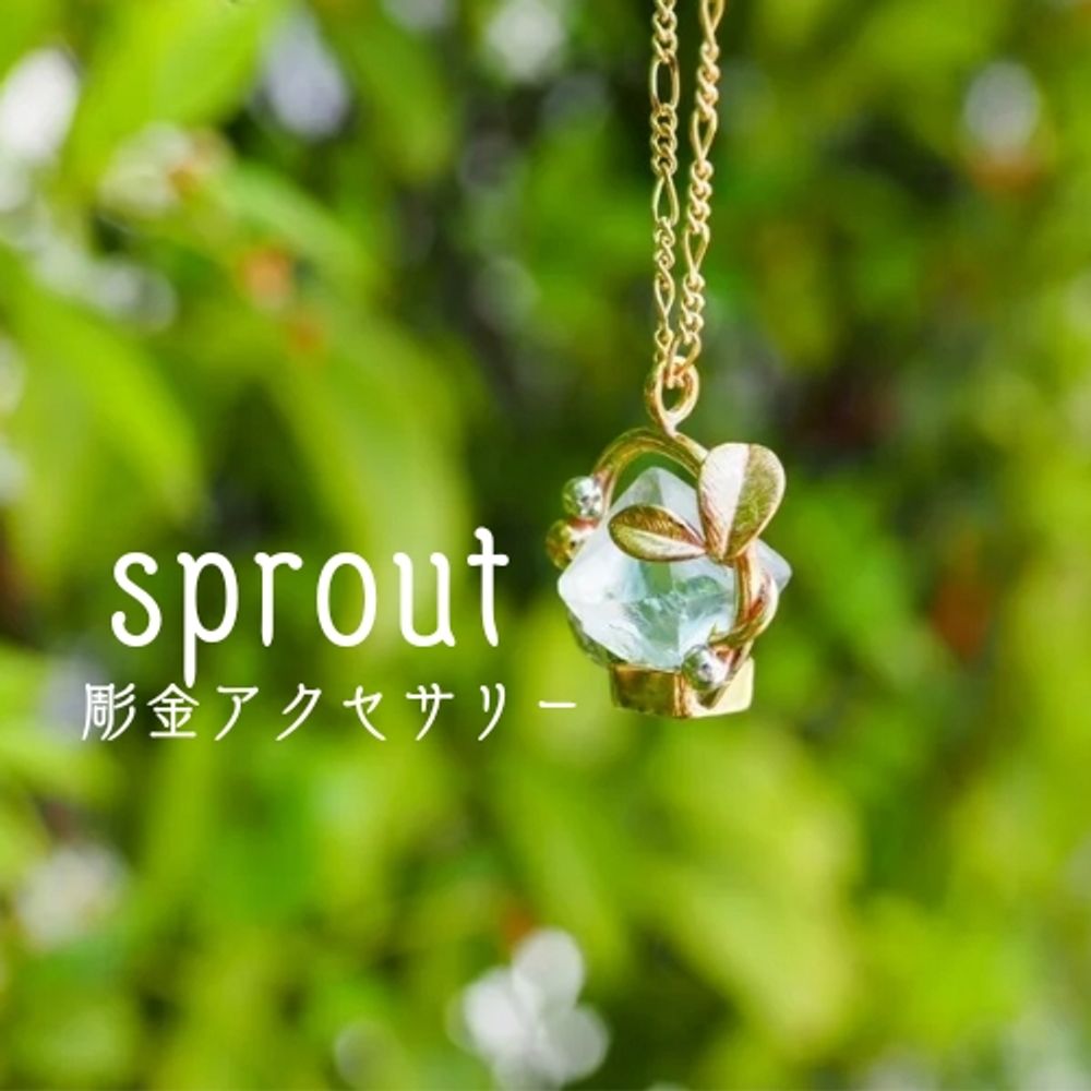 スプラウト🌱