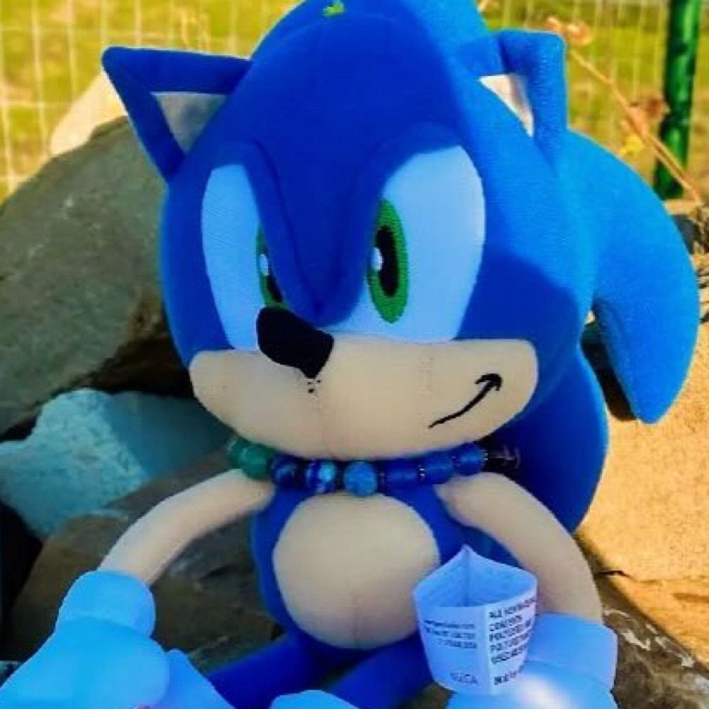 Sonic Codex