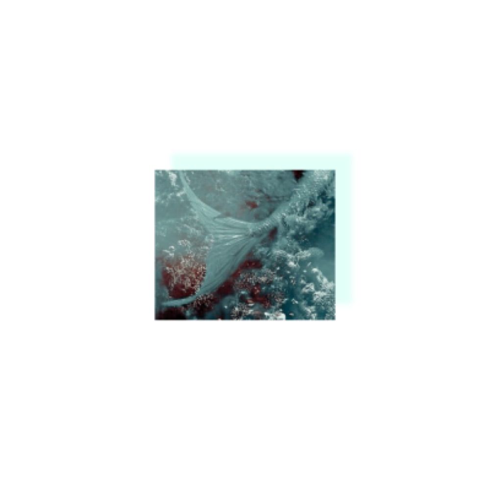 𝒔𝒚𝒓𝒆𝒏𝒊.
