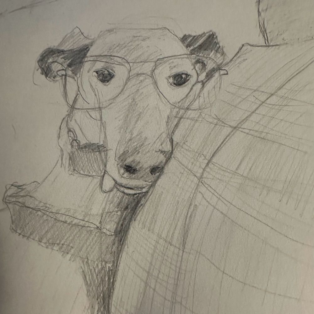 Mr G fine art