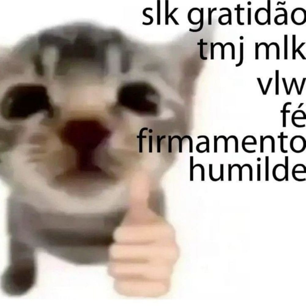 44vida