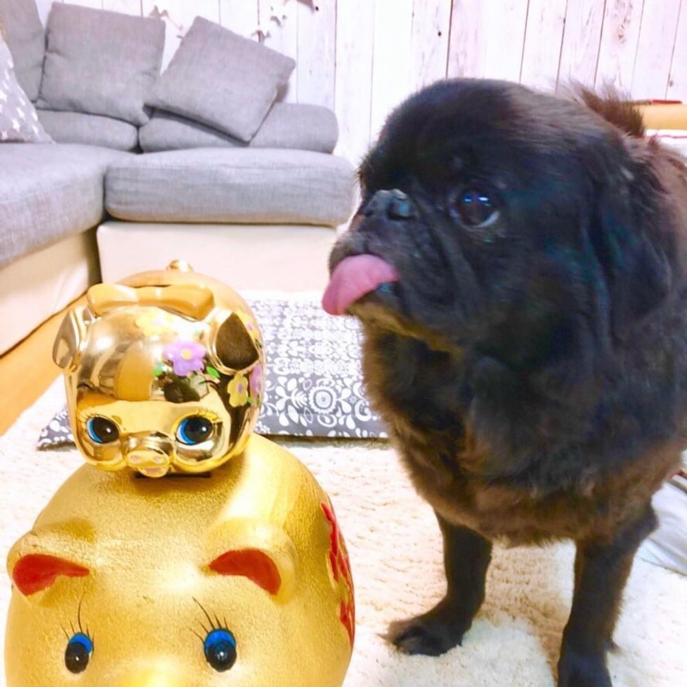 たくや