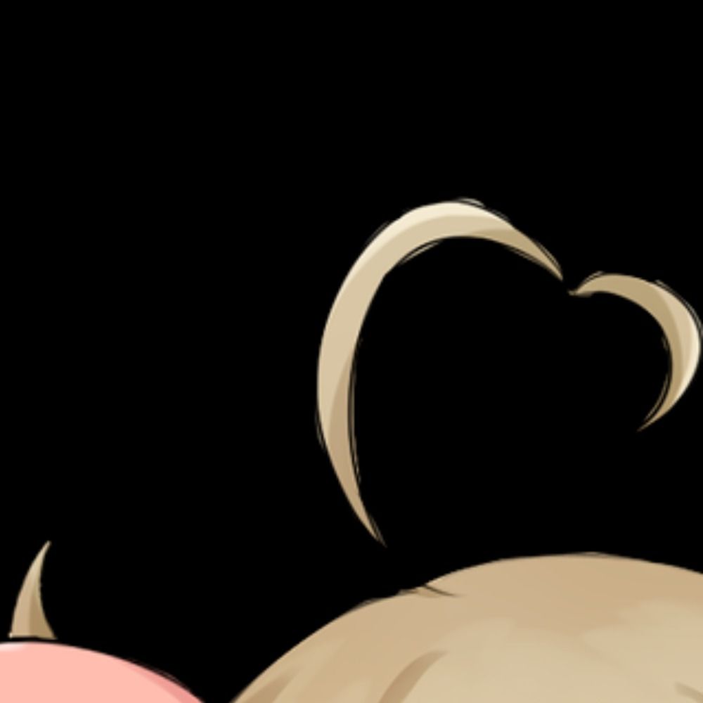 もっこす