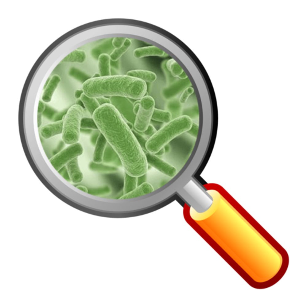 Food Poisoning Bulletin
