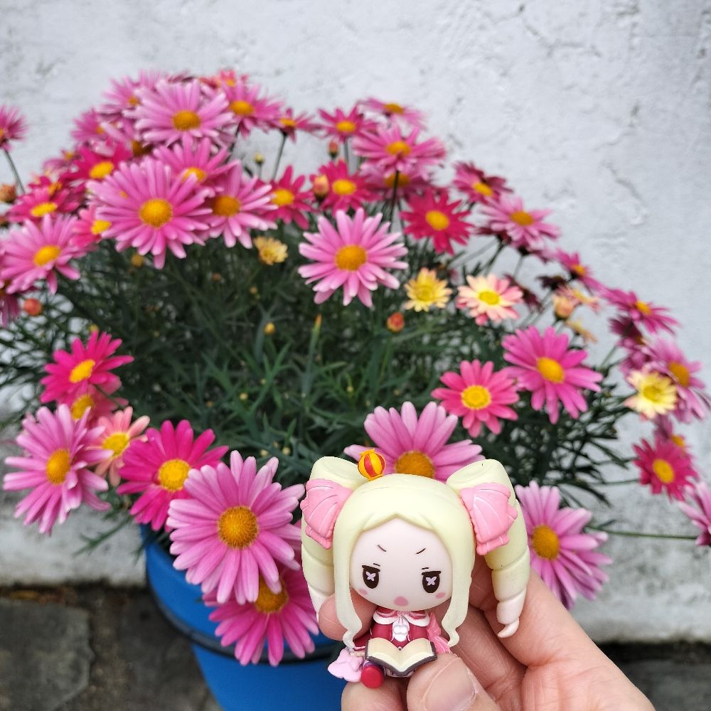 おやすみ中