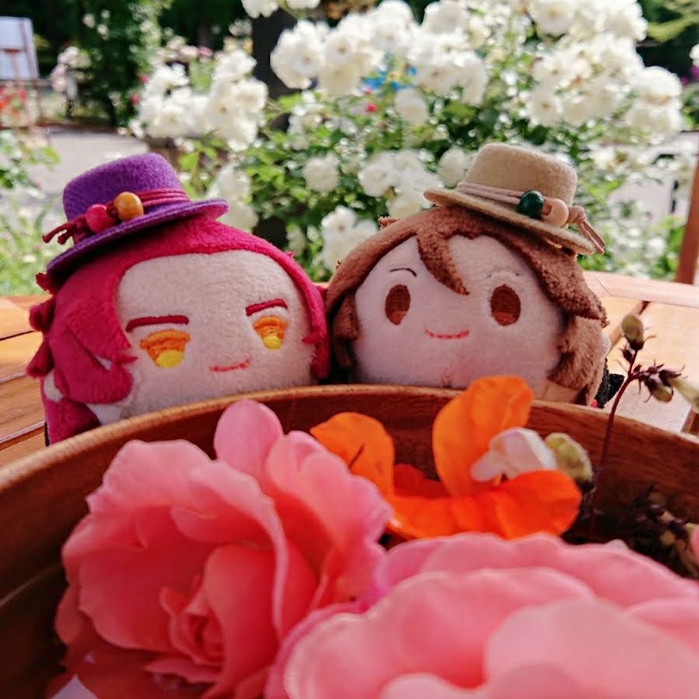 YO☆