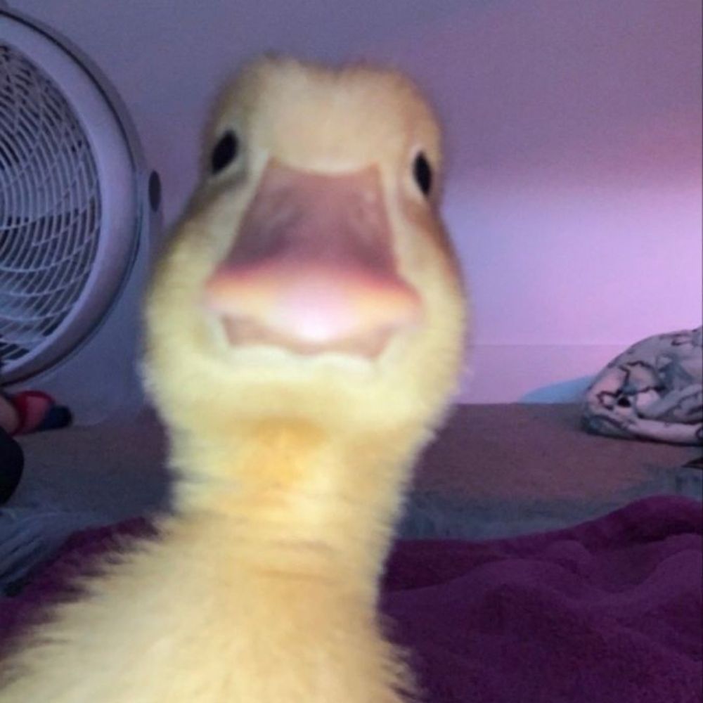 Any