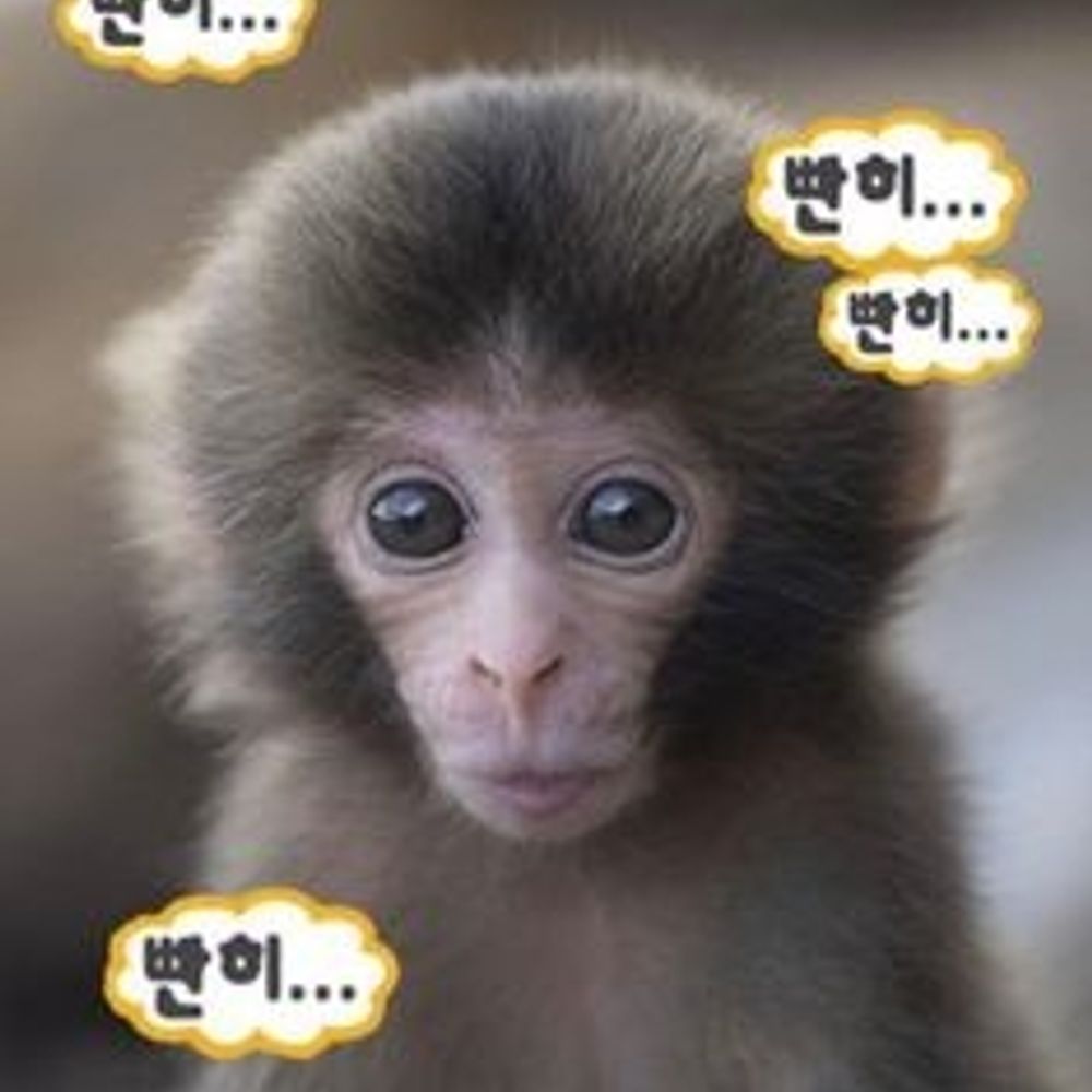 멍게