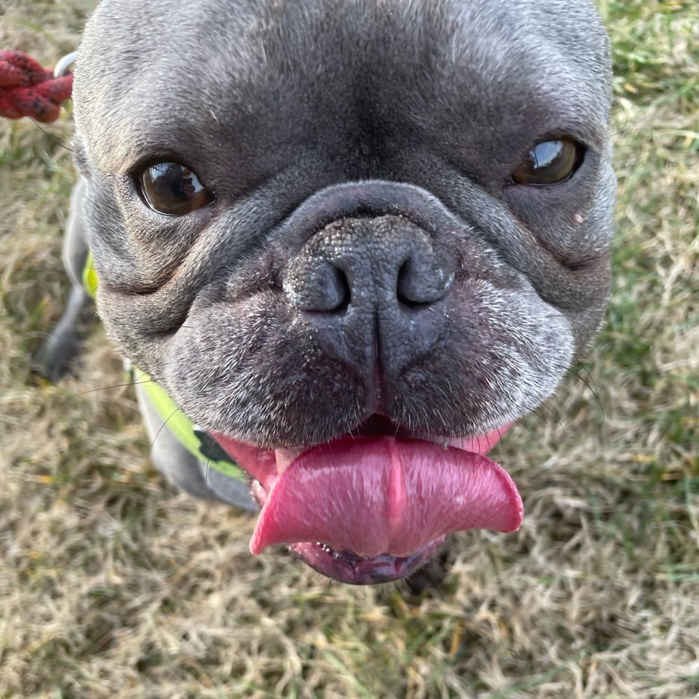 Ginja_Photos