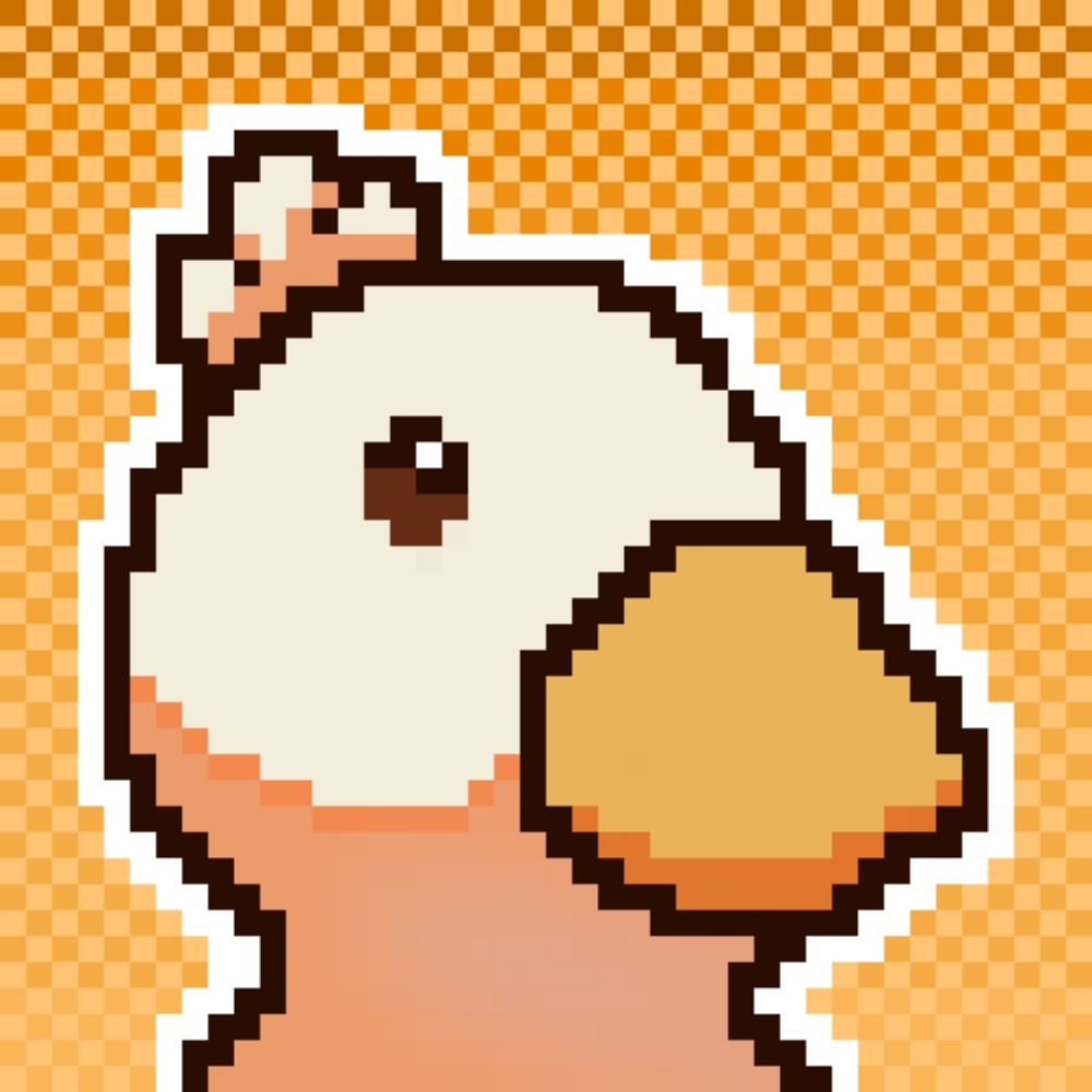 🦆🦆