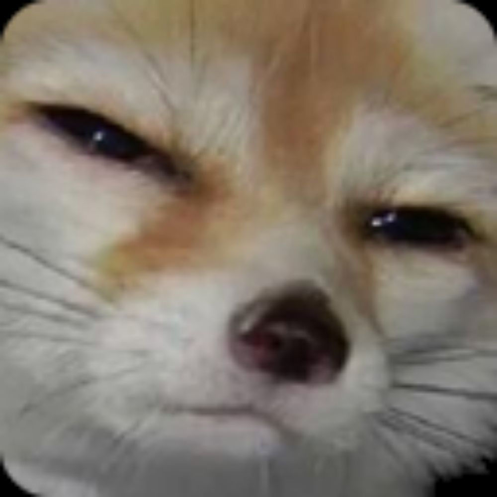 some gay fox