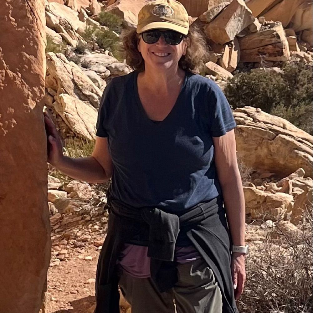Donna Friedsam