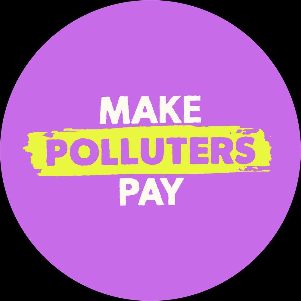 Make Polluters Pay