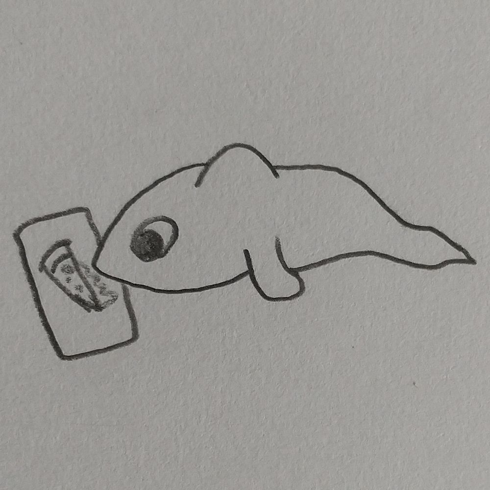 ビオラ