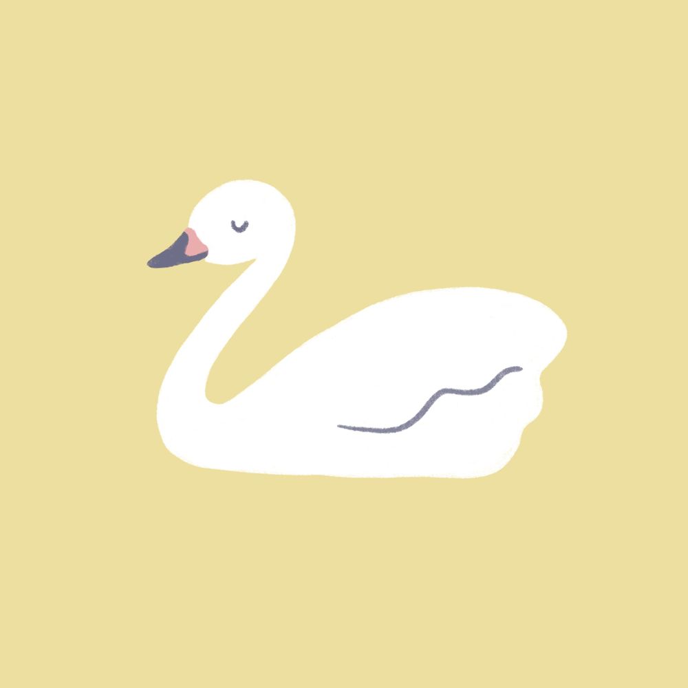 しーにゅ