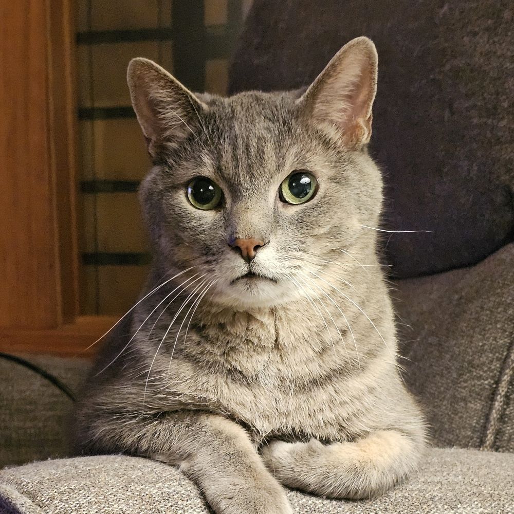 TARrah