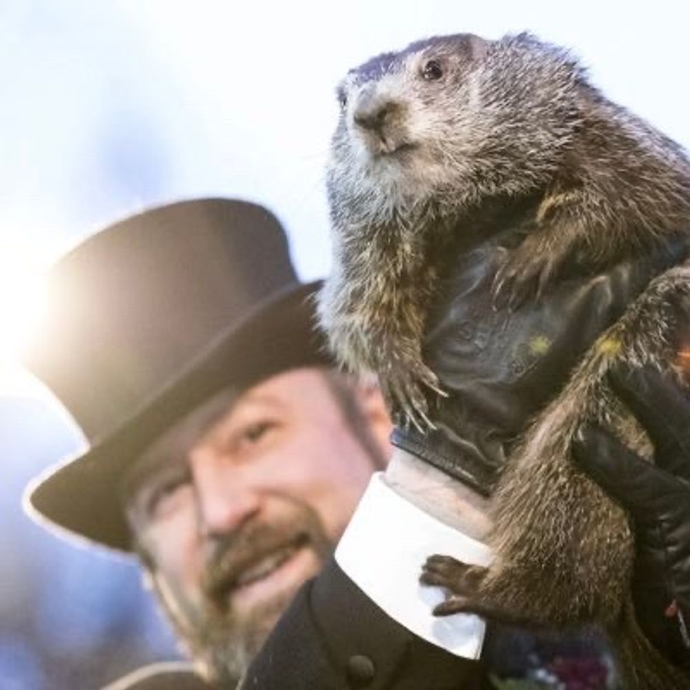Fuzzy Groundhog's avatar