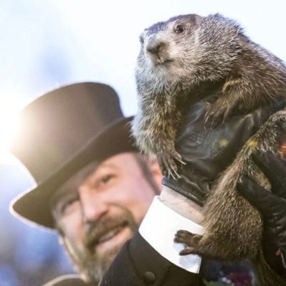 Fuzzy Groundhog