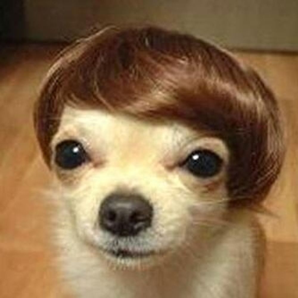 oldschooler67.bsky.social