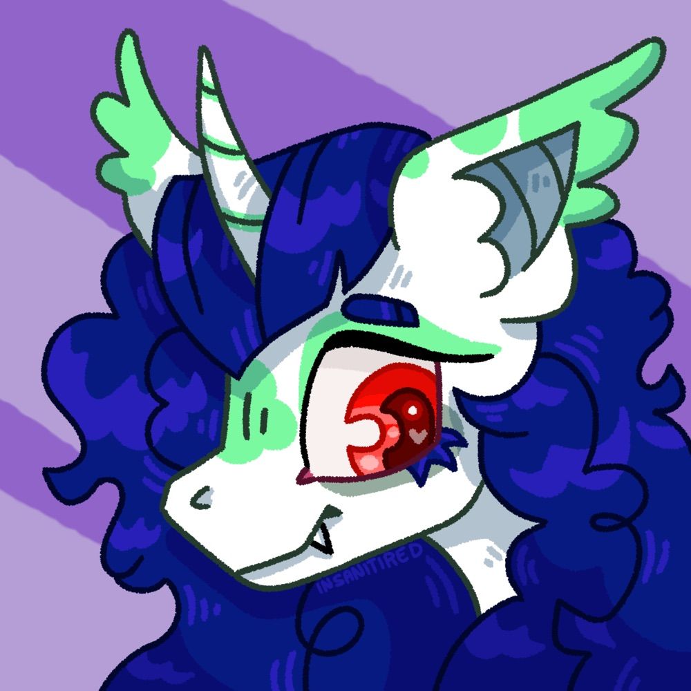 ➻[insanitired]