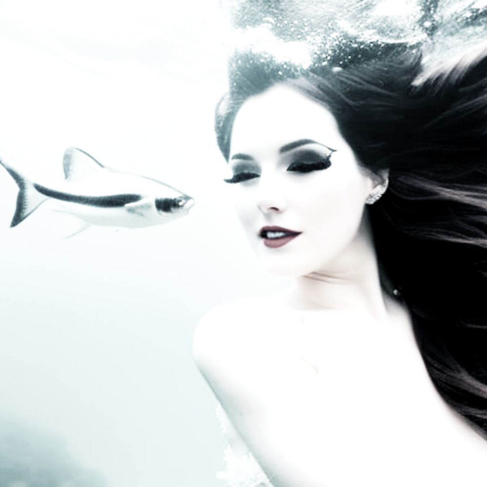 Intuitive Fish