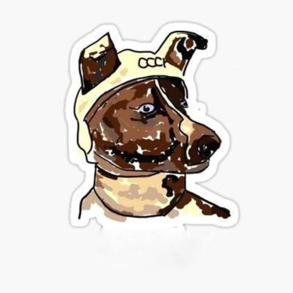 RDog