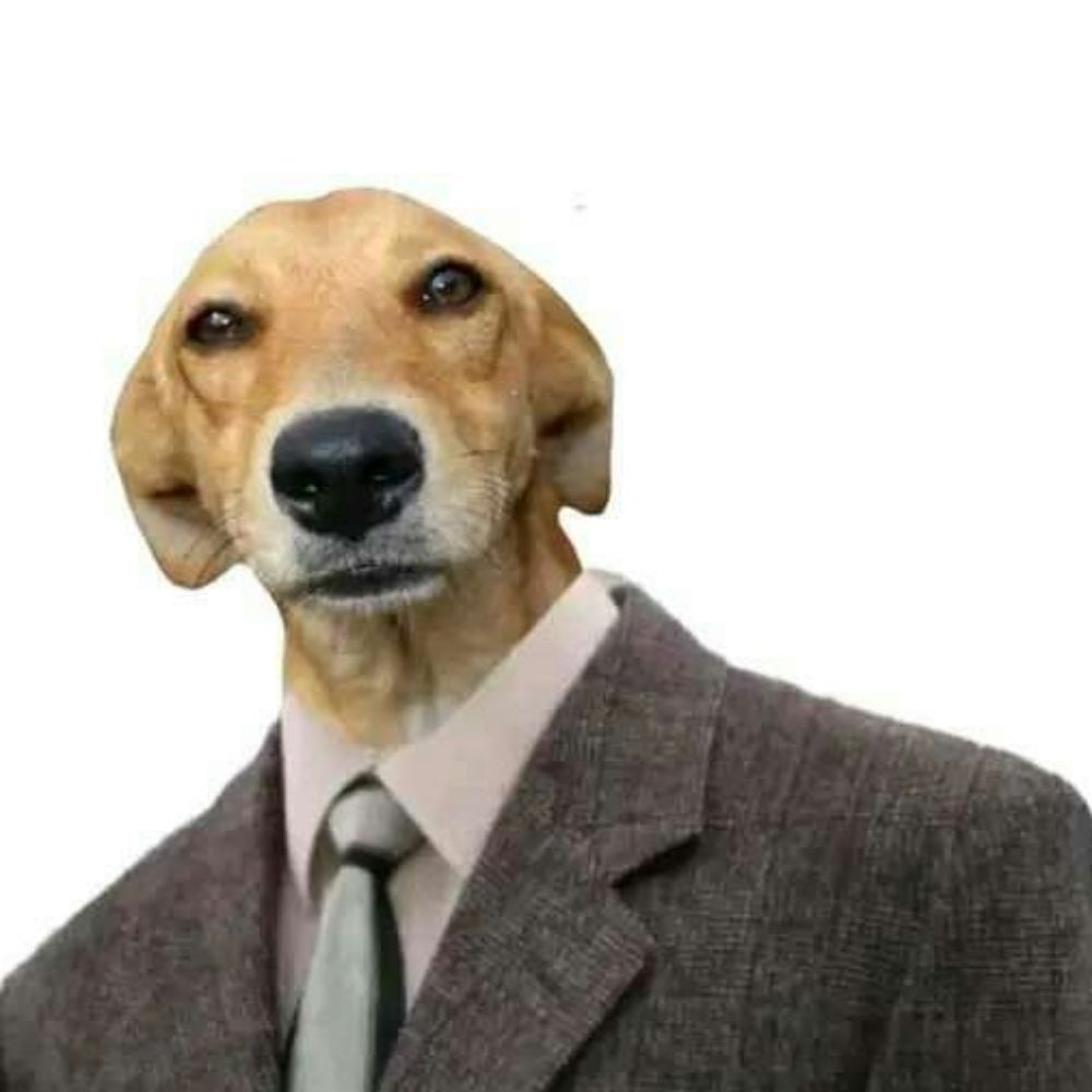 Shitpost só que diferenciado 