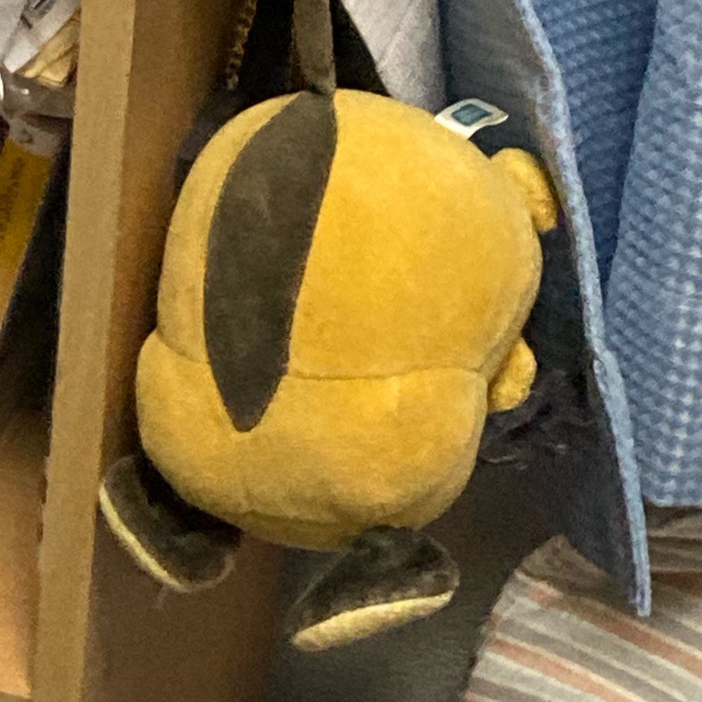 のちこ