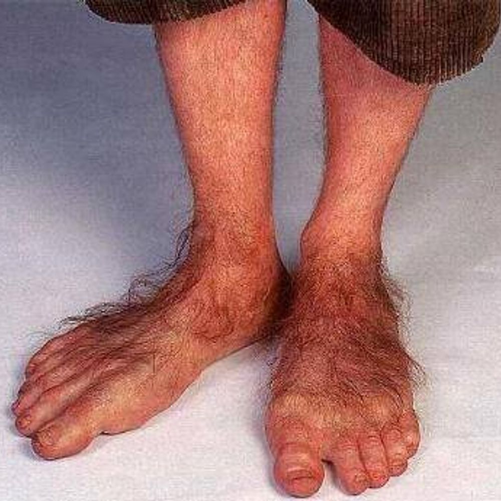 Filthy Frodo