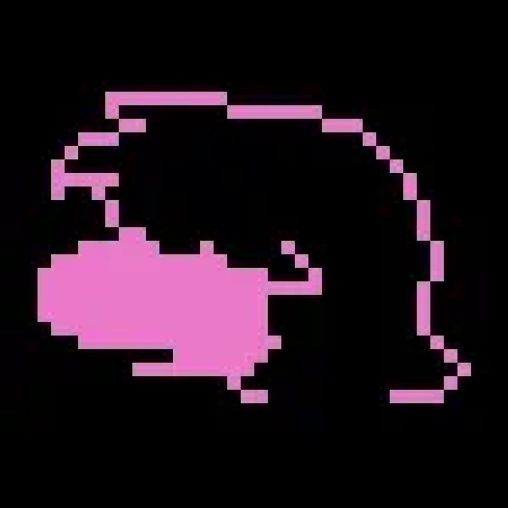 SUSIE!!!