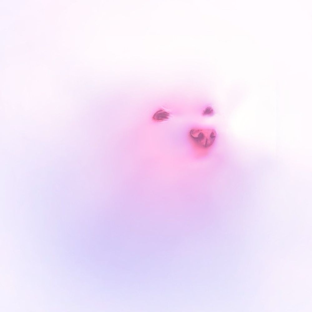 せりぬん 元「せ」
