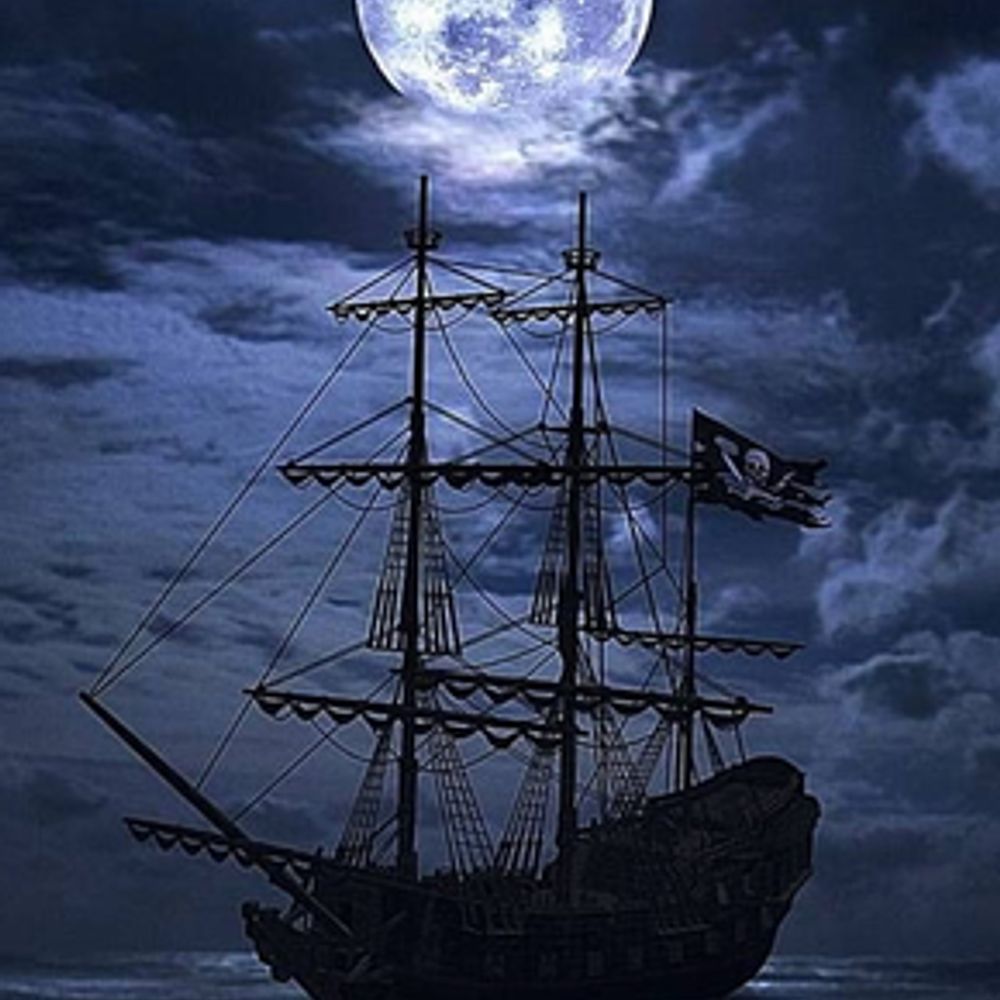 Pirate Fanatic