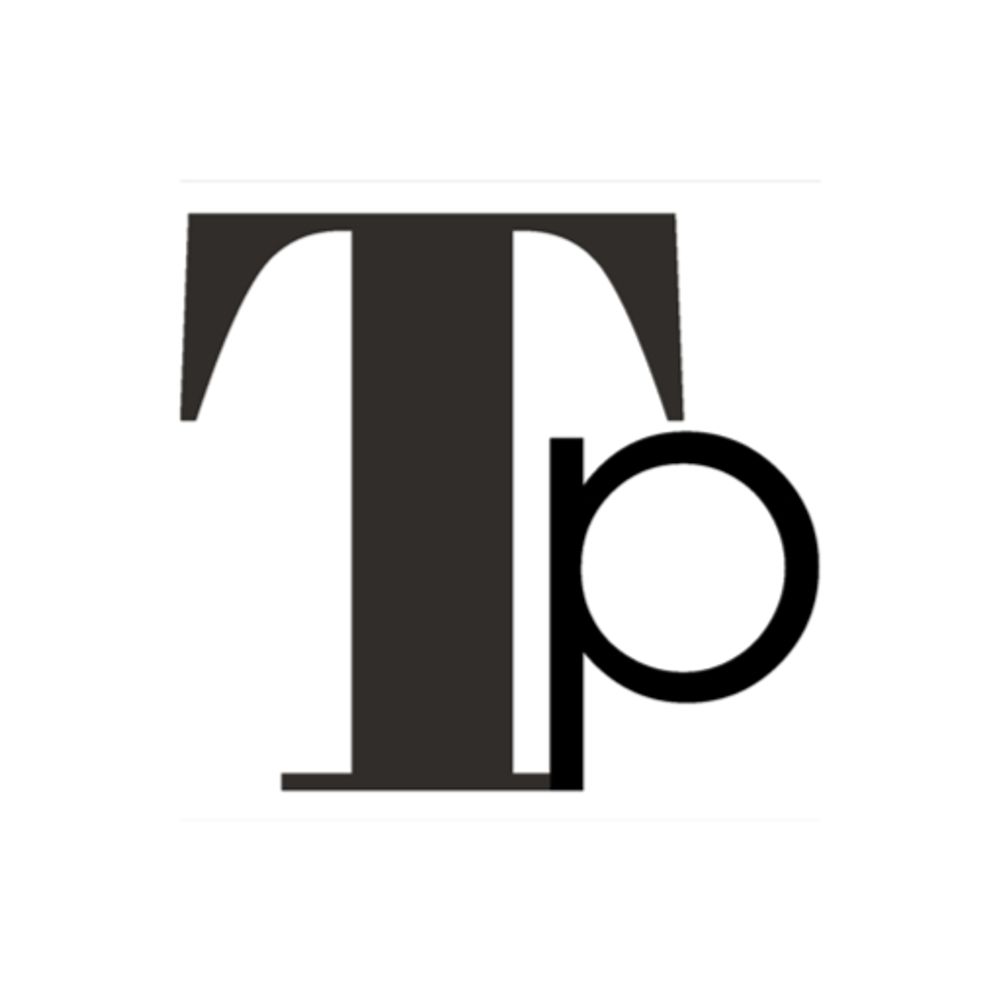 The Totnes Pulse