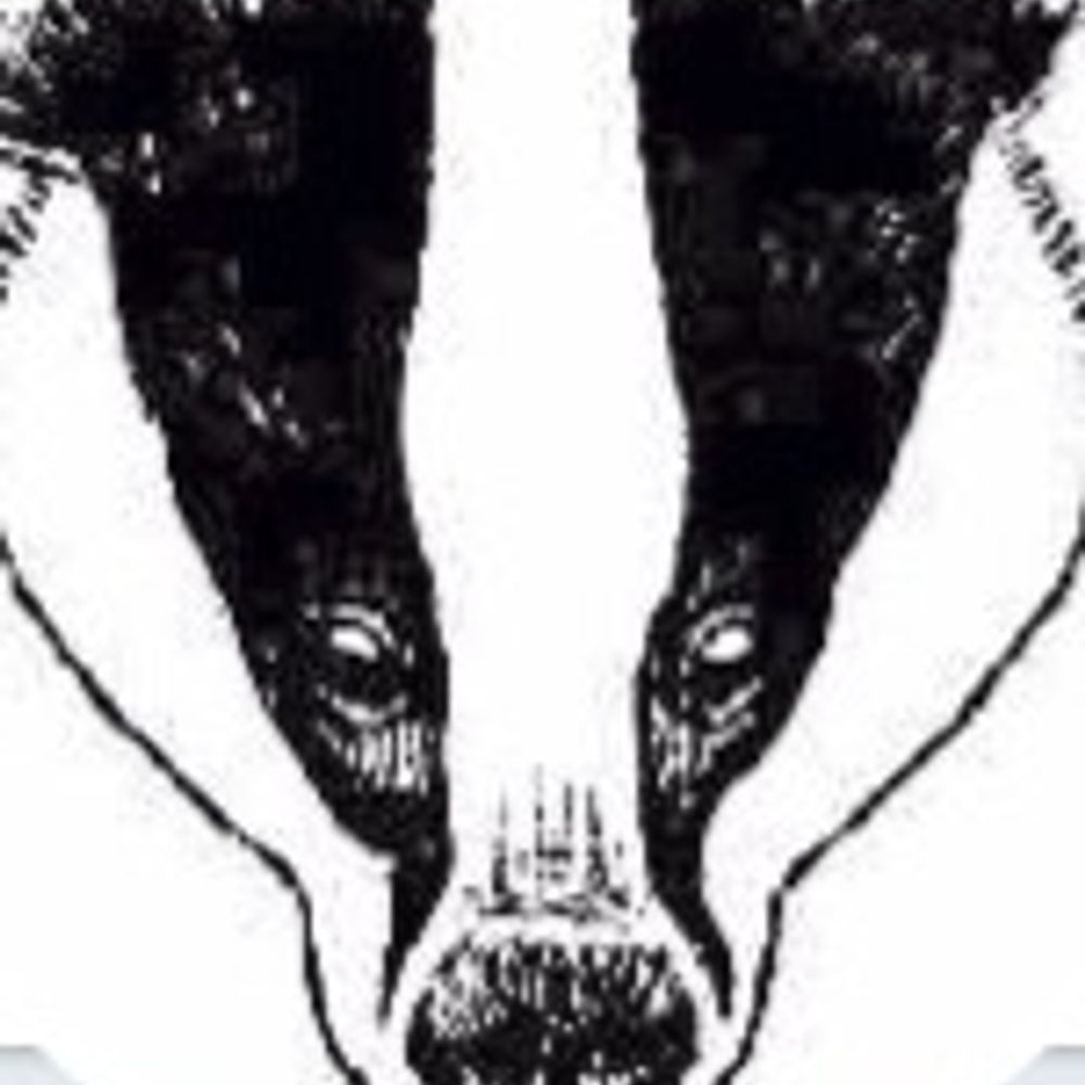 The Badger Crowd