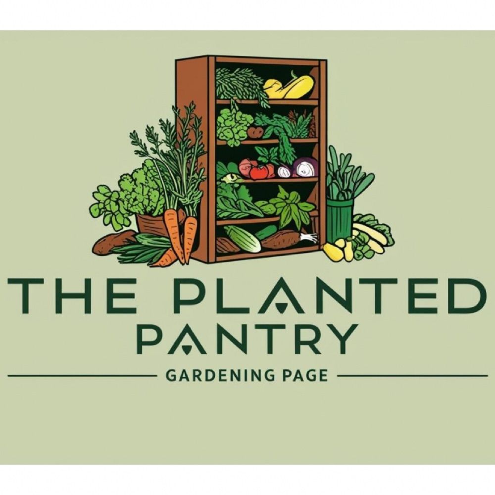 The Planted Pantry