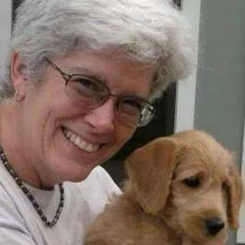 Terry Cluse-Tolar