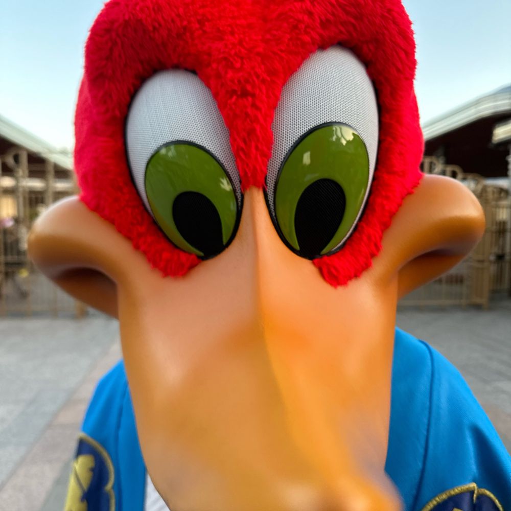 hide