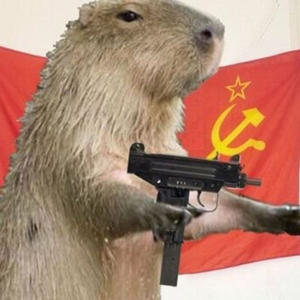Comrade Capybara