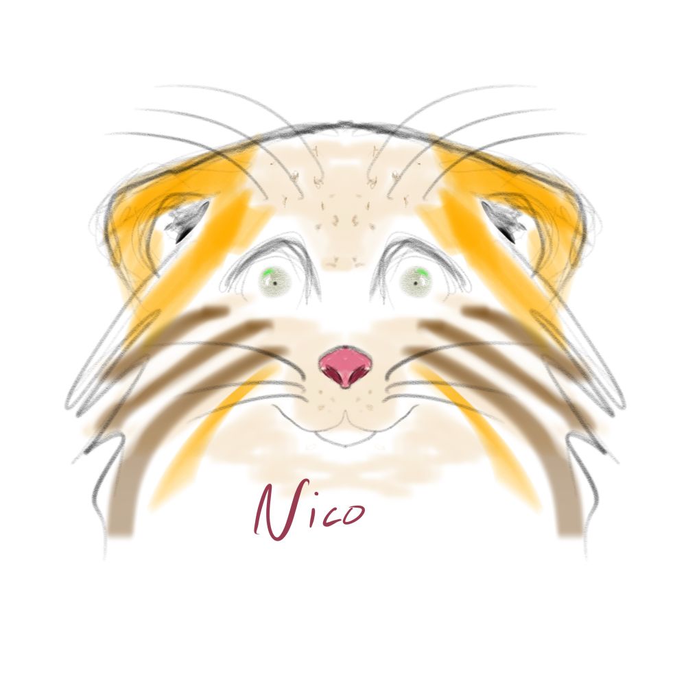 Nico