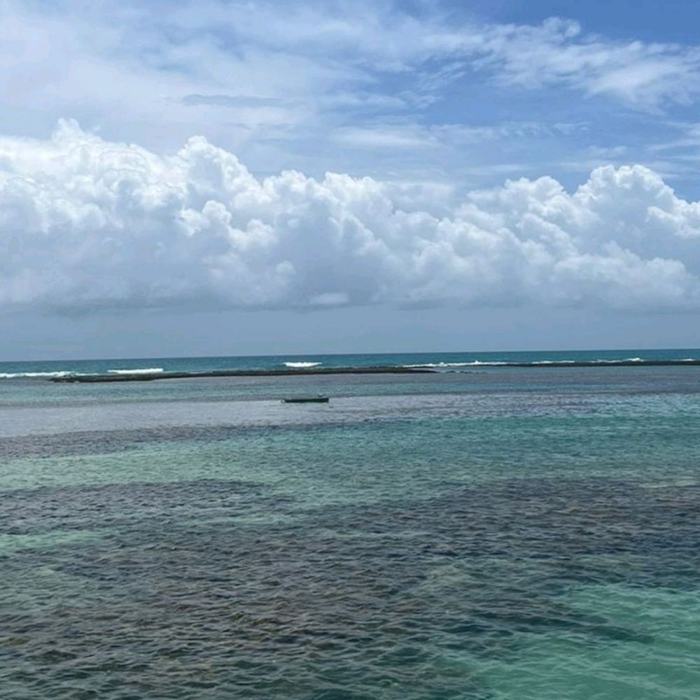 Shinnyalm 