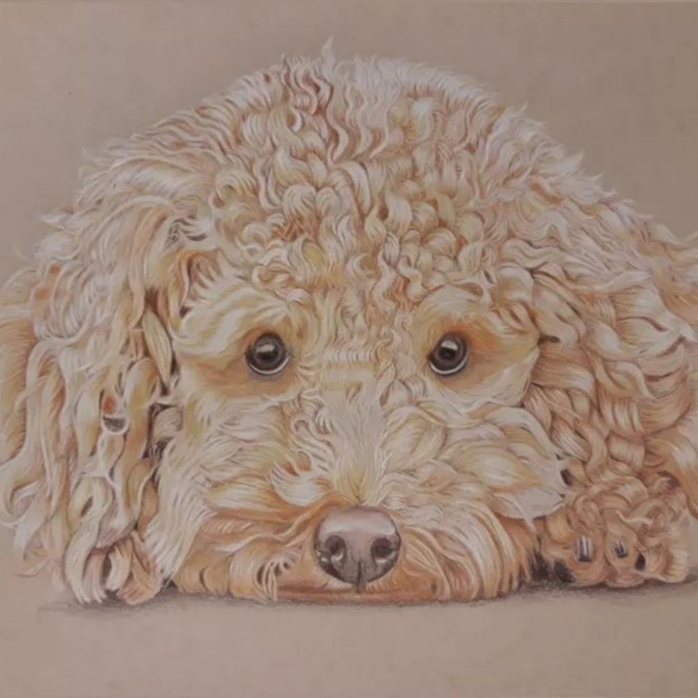 Mildly Charlie
