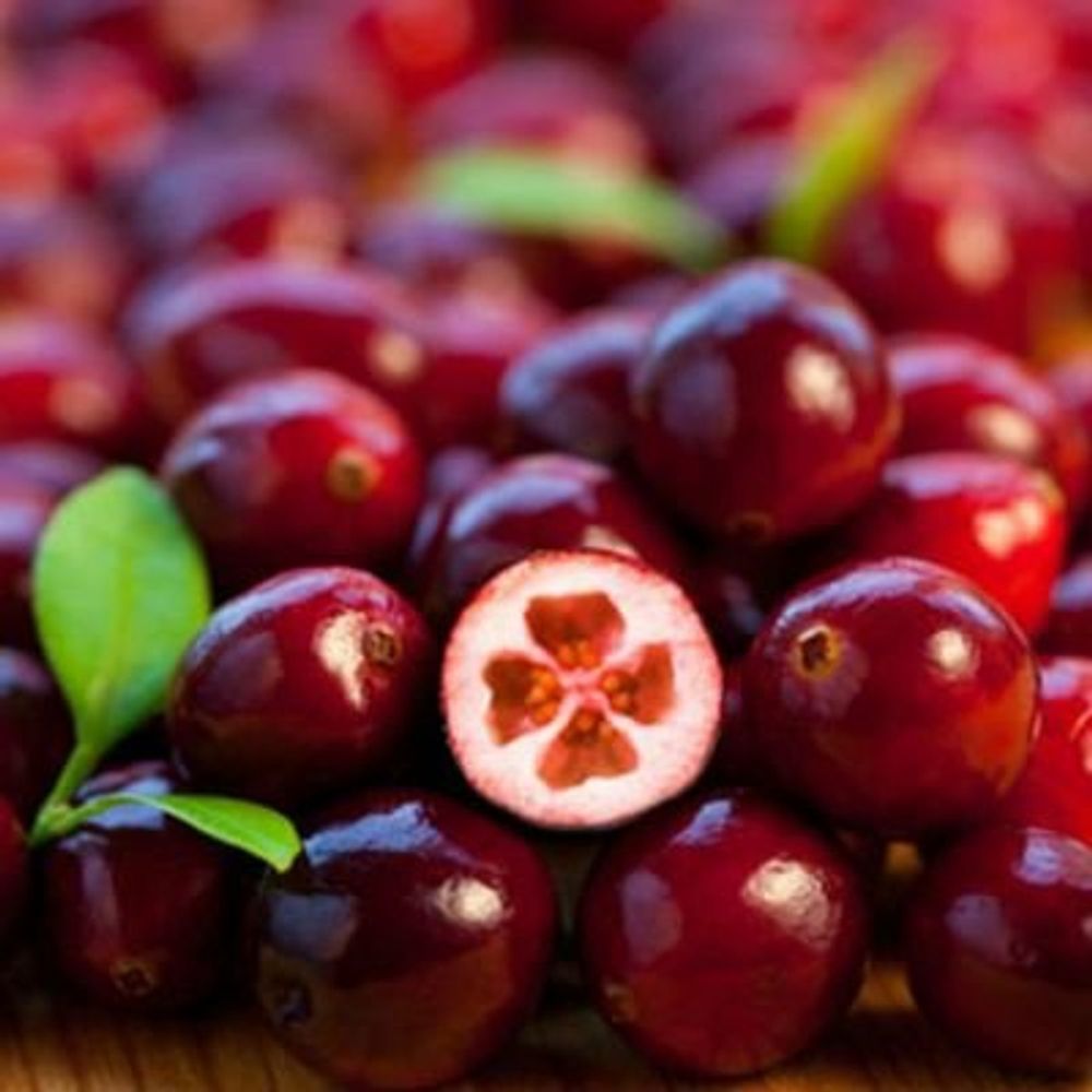 Cranberry Morpheme 🌻🍉֎🌲🍀