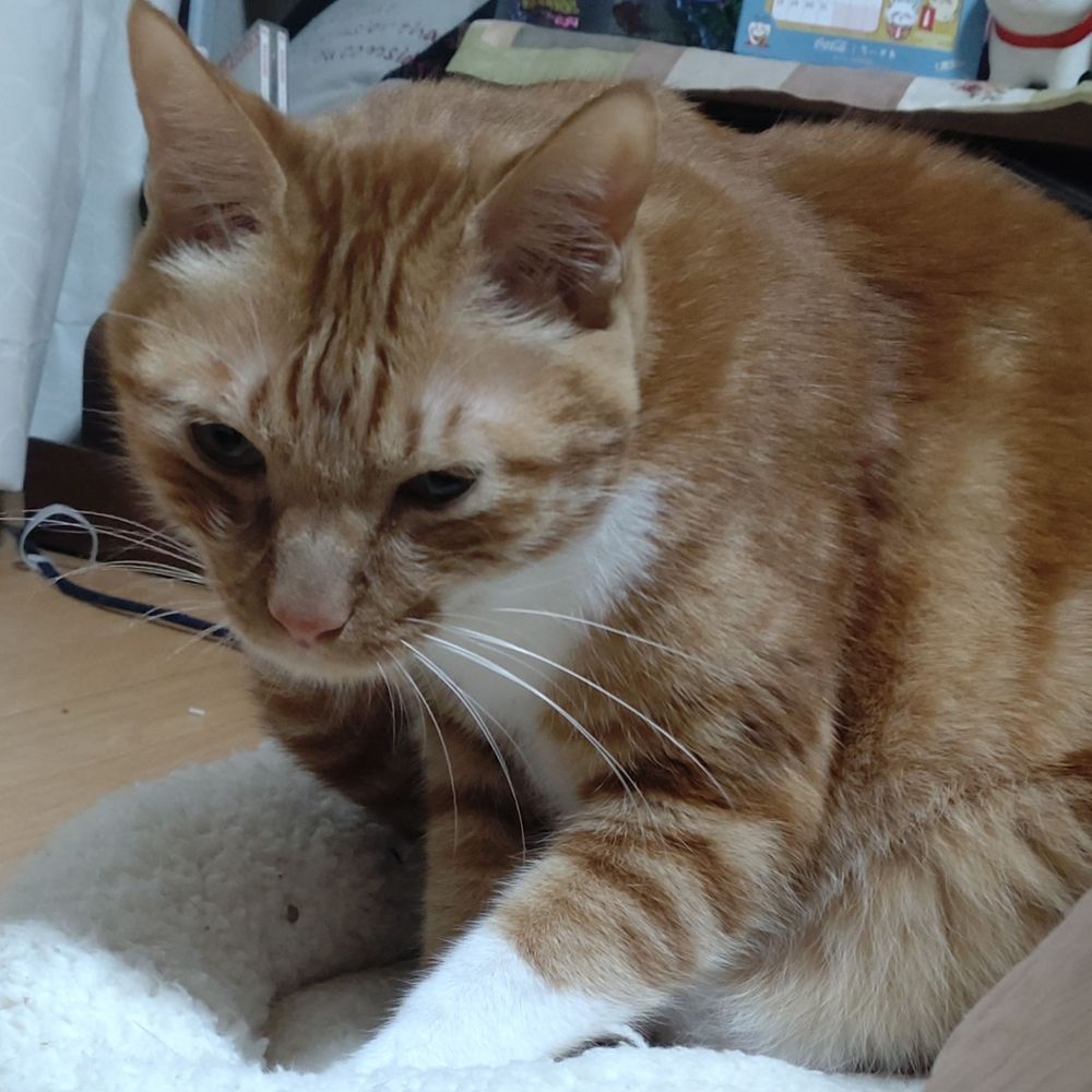 るる