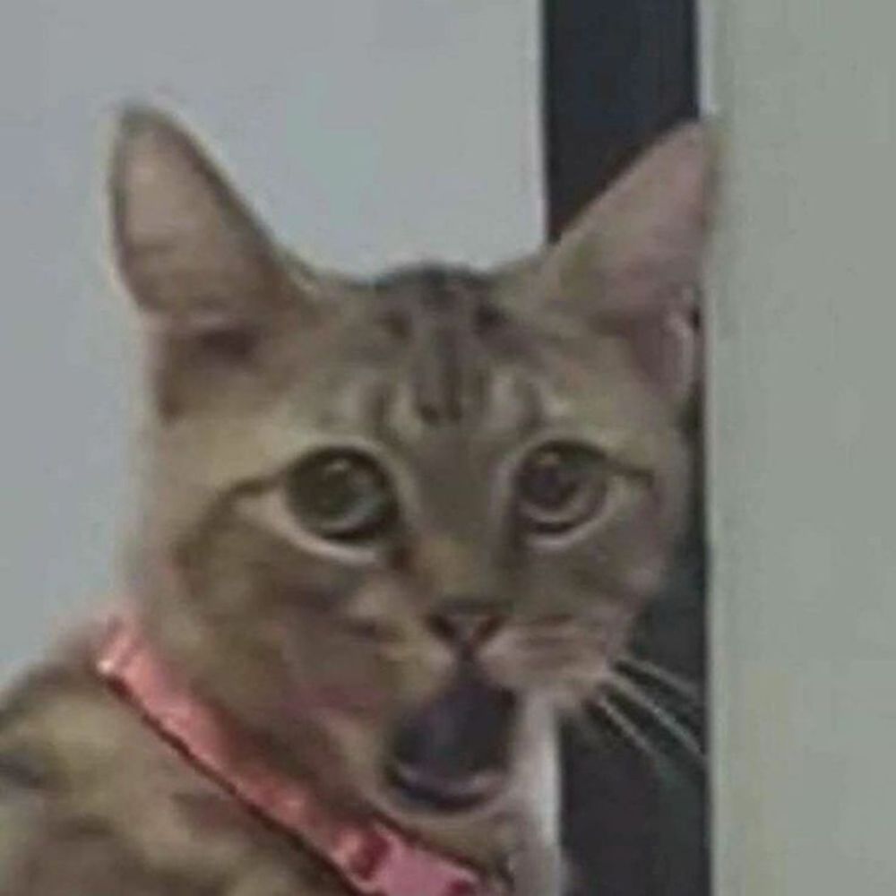 kjkkkjj