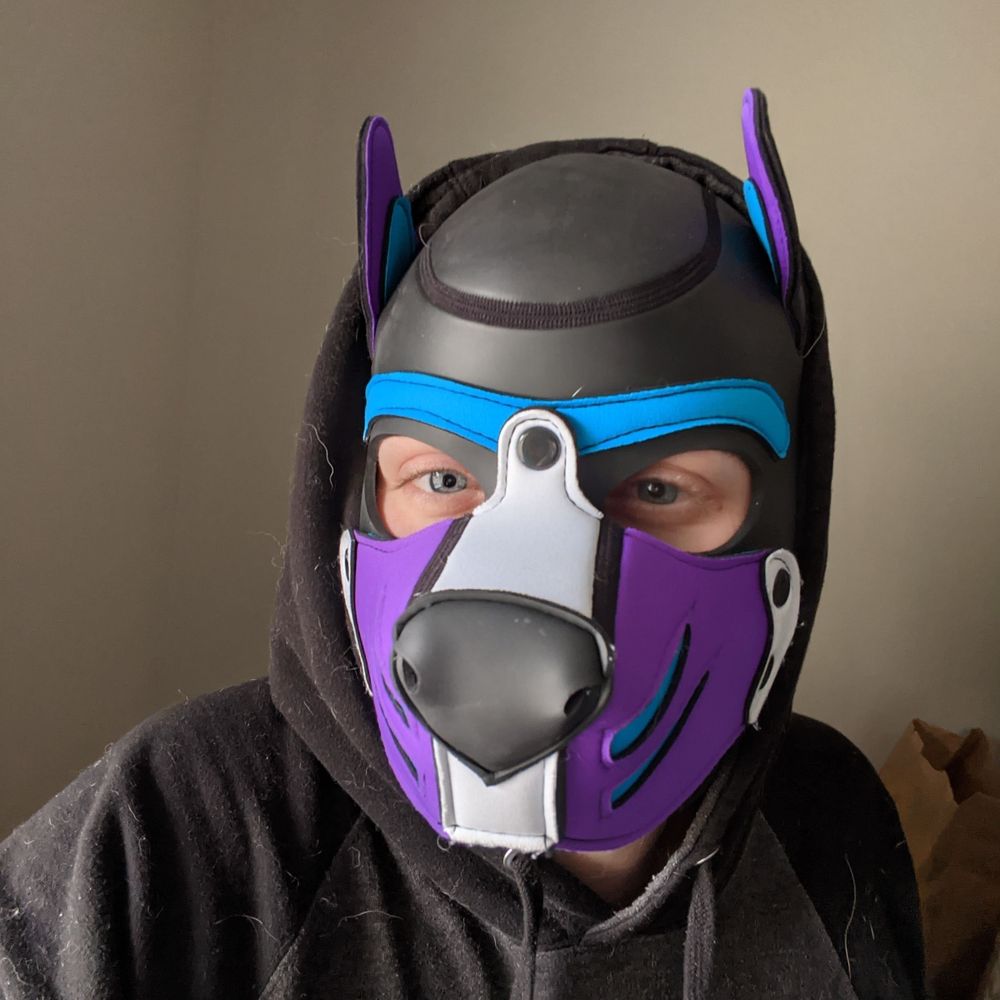 Pup Doomed