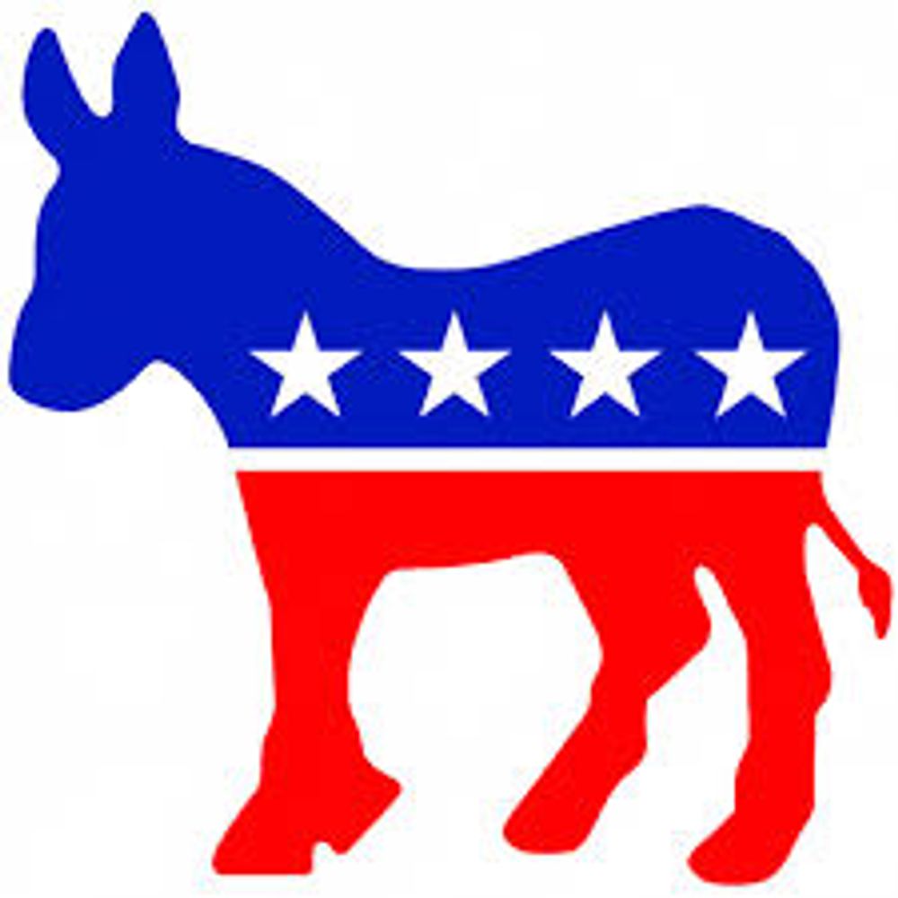 David Liberal Democrat 🗽