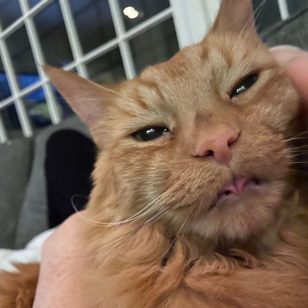 Peomp